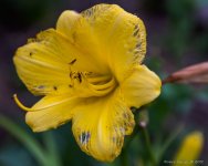 DSC_7566.jpg