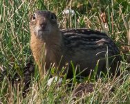 DSC_7630.jpg