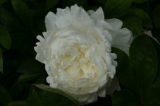 ImageUploadedByTapatalk HD1340041370.274394.jpg