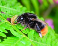 20120611_19.JPG