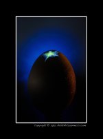 Prometheus-Egg.jpg