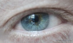 I've got an eye on you.jpg