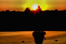 sunset ducks resized.jpg