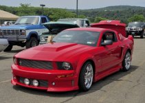 Mustang1 (800x571).jpg