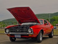 mustang2 (800x612).jpg