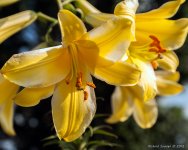 DSC_7721.jpg