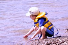collecting rocks.jpg