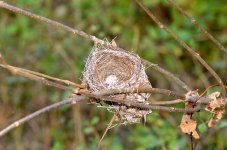 DSC_0828.jpg