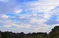 DSC_0871.jpg