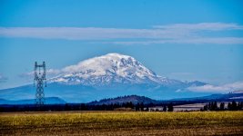 _6009438-2 (1000x563).jpg