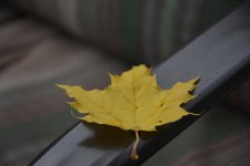 DSC_2770.jpg