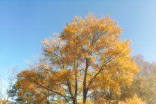 DSC_2497-Edit.jpg