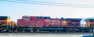 DSC_6604 (1000x401).jpg