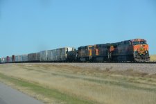DSC_7584.JPG