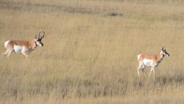 DSC_7602.JPG