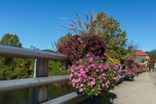 DSC_2473-Edit-2.jpg