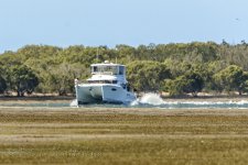 NEW_0418_webshot.jpg