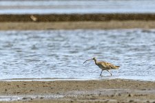 NEW_0459_webshot.jpg