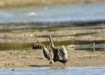 NEW_0508_webshot.jpg