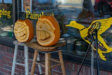 DSC_2476-Edit.jpg