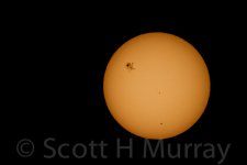 SHM_7964-Edit.jpg