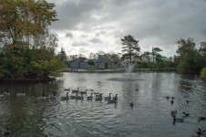 DSC_0004.jpg