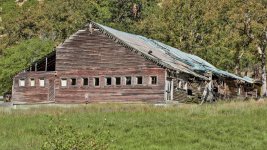 _6009465 (1000x562).jpg