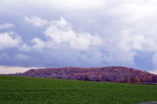 DSC_0211.jpg
