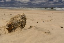 NEW_0585_webshot.jpg