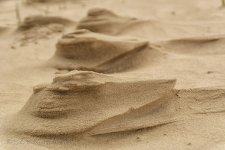 NEW_0569_webshot.jpg