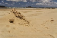 NEW_0575_webshot.jpg
