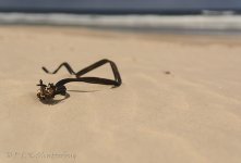 NEW_0588_webshot.jpg