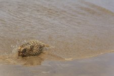 NEW_0608_webshot.jpg