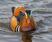 DSC_9454.jpg