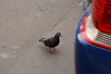 DSC_5373.jpg