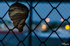 banbung-waking-up-7.jpg