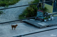 banbung-waking-up-8.jpg