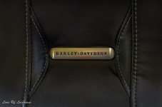 Harley seat.jpg