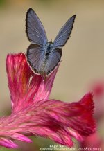 ESC_4061.jpg