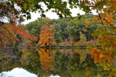 DSC_0994.jpg
