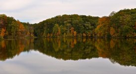 DSC_0995.jpg