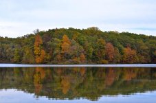 DSC_0990.jpg