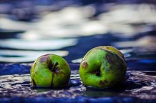 20141014-apples.jpg