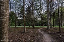 Cycle track through the woods.jpg