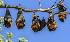 NEW_0763_webshot.jpg