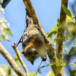 NEW_0756_webshot.jpg