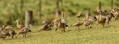 NEW_0744_webshot.jpg