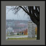 DSC_2990.jpg