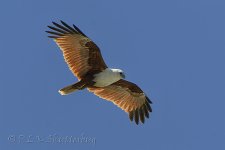 NEW_0027_webshot.jpg