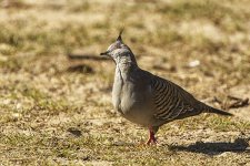 NEW_0073_webshot.jpg